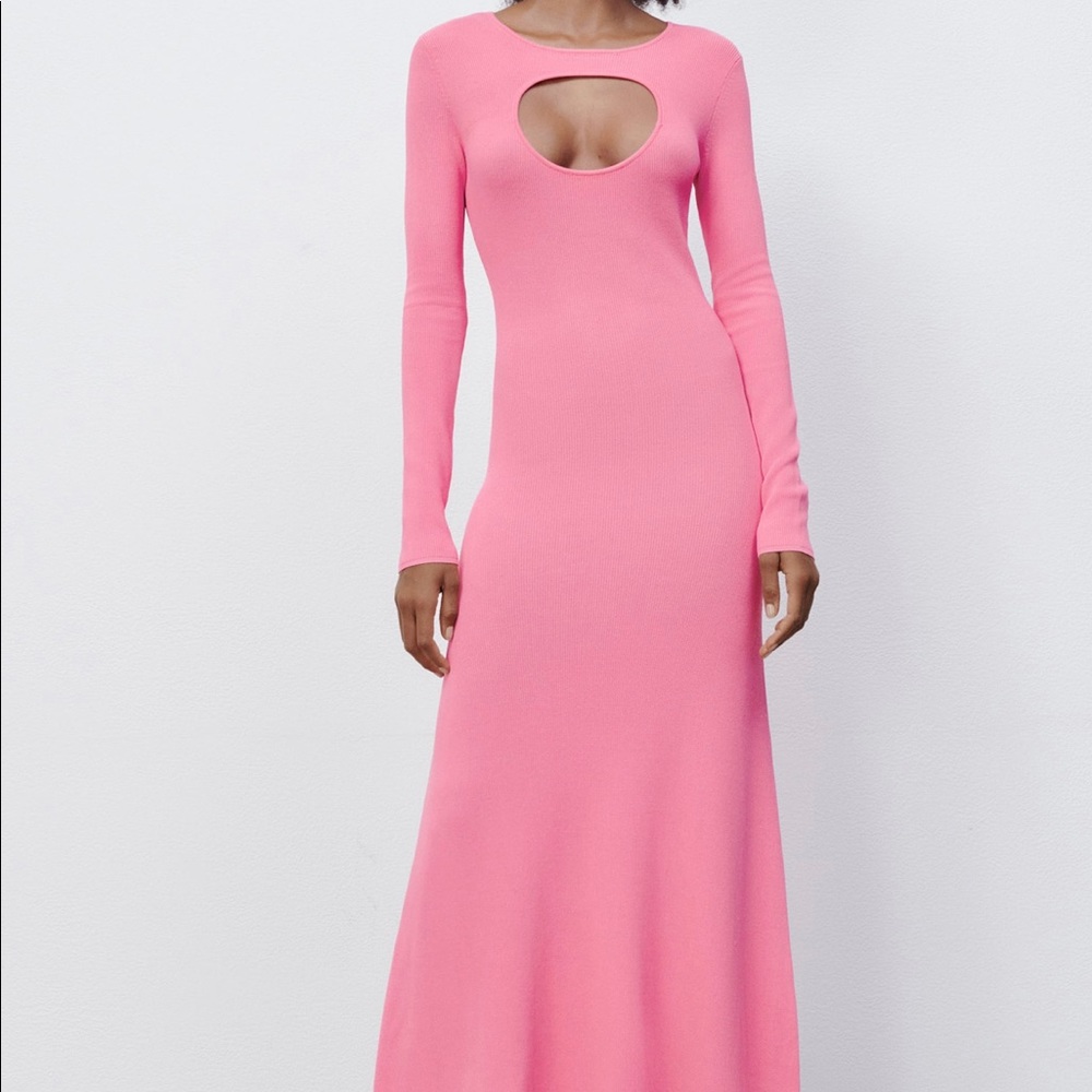 Zara Pink Cut Out Knit Dress
